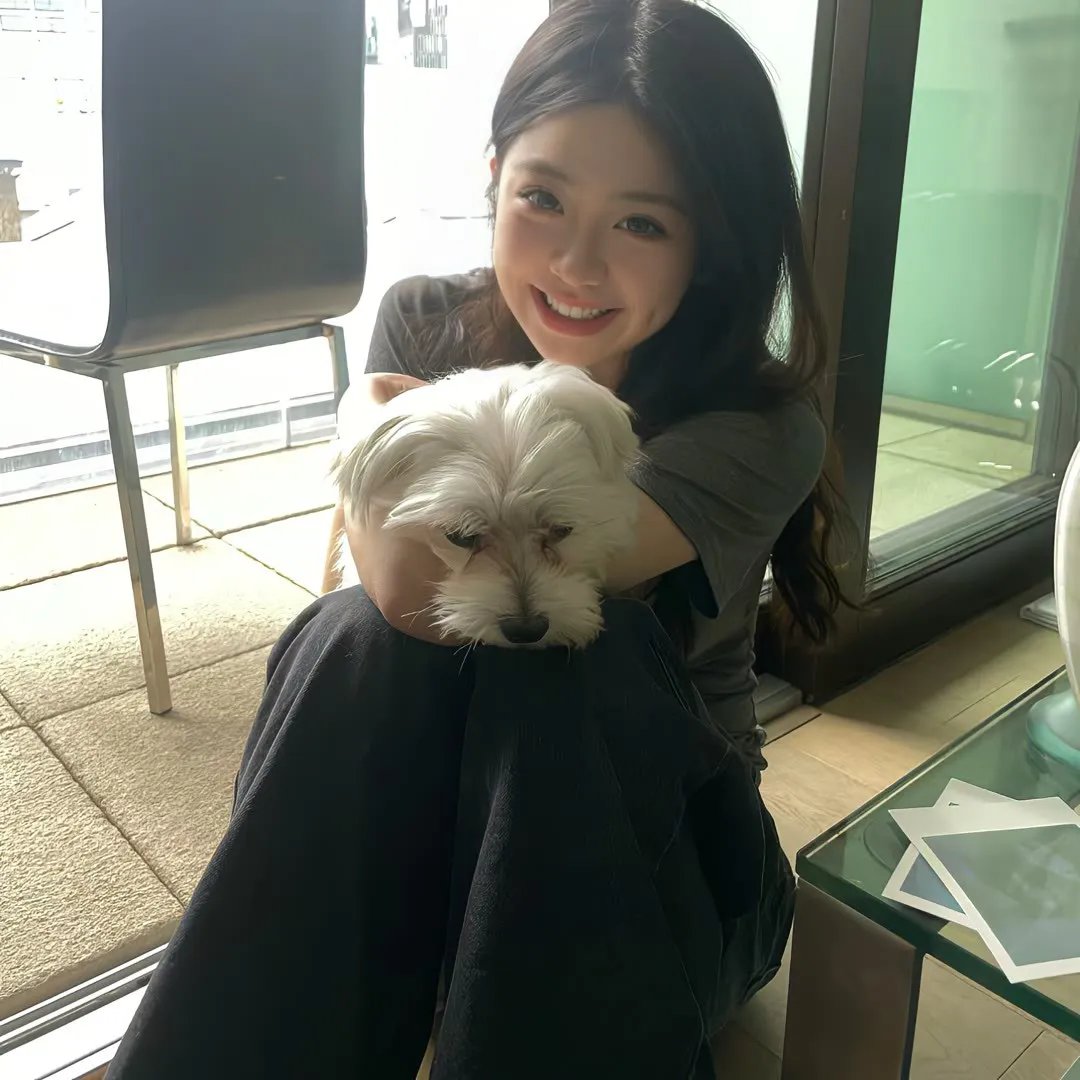 猎鹰追击