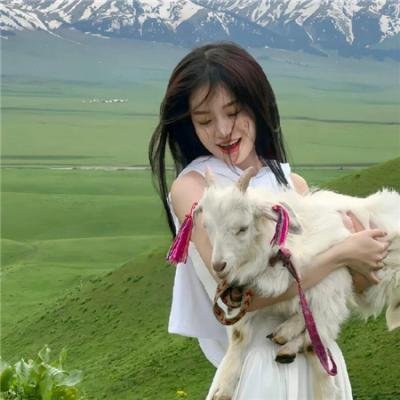 拳后:逆境之光